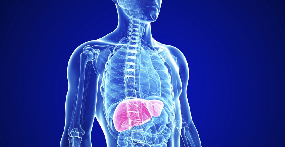 Things That Can Damage Your Liver